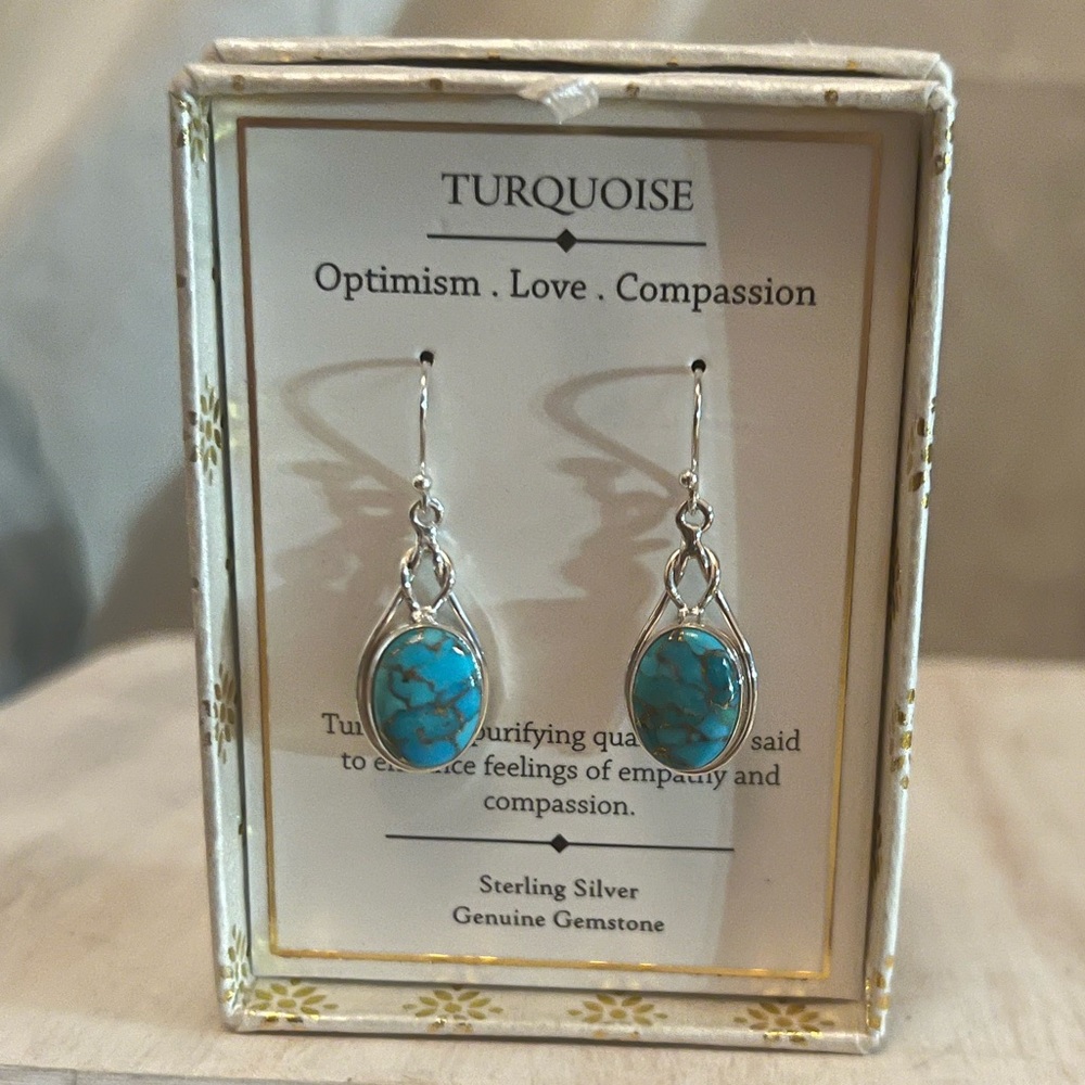 ⚡️⭐️Shivam Turquoise Earrings